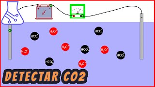 Detectar CO2 Soplando en el Agua Aumenta su Conductividad Eléctrica [upl. by Celtic]