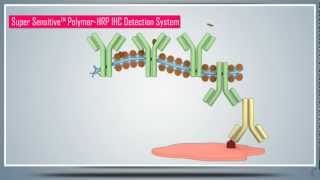 Immunohistochemistry IHC amp AntigenEpitope Protein Retrieval  Principle Technique and Protocol [upl. by Birkle482]