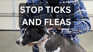 Serestos Flea amp Tick Collar Unboxing amp Review  Dog tick flea [upl. by Nyrrek]