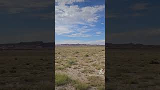 Beautiful day in Kayenta AZ navajo wildlife arizona nature kayenta reservation desert [upl. by Cyd802]