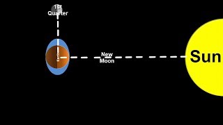 Space Science Tutorial Spring and Neap Tides [upl. by Yelsha]