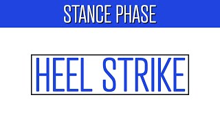 What Happens During Heel Strike [upl. by Paryavi]