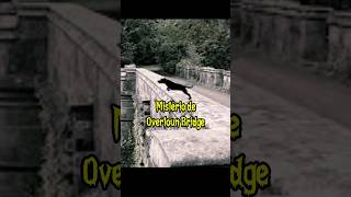 Mistério de Overtoun Bridge ponteovertoun mistérios curiosidades historiasreais casosreais [upl. by Anilatak]