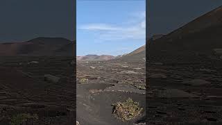 Bodega La Geria 😱  GROWING GRAPES IN VOLCANIC  Lanzarote Spain spain canarias amazing vulcans [upl. by Rania503]