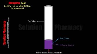 Ninhydrin Test  Identification Test for Amino acid  Biochemical Test for Protein  Animation Video [upl. by Marj666]