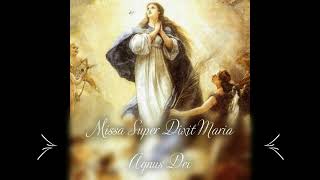 Missa Super Dixit Maria  Hassler  Agnus Dei [upl. by Dilks]