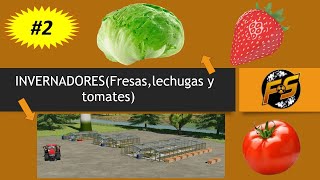 🍓2 INVERNADEROSFresaslechugas y Tomate🍓fs22 farming tutoriales farming simulator 22 academy [upl. by Fremont339]