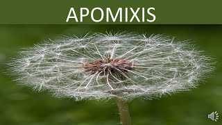 APOMIXIS [upl. by Banwell]