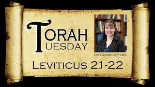 Torah Tuesday  Leviticus 2122 [upl. by Lesirg221]