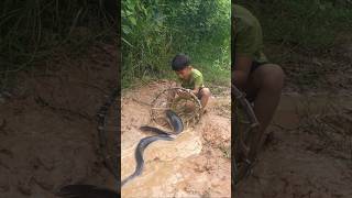 Survival Skills Amazing Fishing  Easy way to trap fish  Fish trap homemade fishing shorts [upl. by Eilahtan]