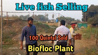 Biofloc Fish Farming  100 Fish Growth In Biofloc Tank  Biofloc Fish Culture in Bihar fish viral [upl. by Attolrac]