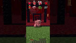 Nether Portals vs Fitting Mobs shorts meme minecraft [upl. by Vachel]