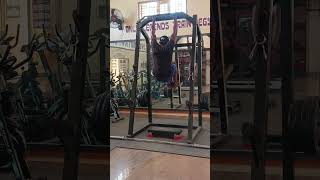 Back  Biceps And Core  fitness shorts pullups athlete youtube [upl. by Anirual85]