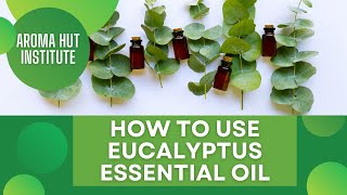 How to Use Eucalyptus Oil [upl. by Anneiv]