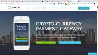 Best Bitcoin Payment Gateway [upl. by Eanyl606]