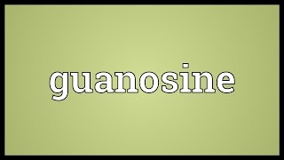 Guanosine Meaning [upl. by Namso]