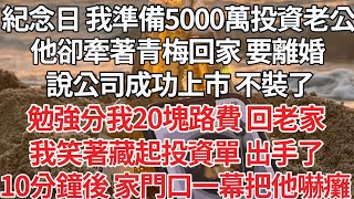 【完结】結婚紀念日 我準備5000萬投資老公，他卻牽著青梅回家 要離婚，說公司成功上市 不裝了，勉強分我20塊路費 回老家，我笑著藏起投資單 出手，隔天他收到銀行短信 瘋了【爽文】【爱情】【豪门】 [upl. by Nahgeam547]