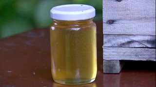 Como as ABELHAS fazem MEL 🍯🐝 Produção  Extração dos favos [upl. by Bodrogi]