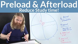 Understanding Preload and Afterload for Nurses [upl. by Friedly138]