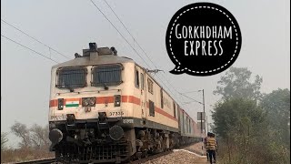 12555  Gorakhpur Hisar Gorakhdham Sf Express [upl. by Innavoeg]