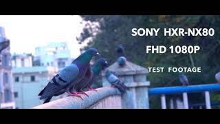 SONY HXRNX80 TEST VIDEO [upl. by Accire]