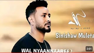 sinishàw muleta wal nyaannaaree new Ethiopian music oromgha official video [upl. by Milli]