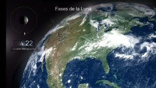 Aprende las Fases de la Luna 🌙 Explicación Ciclo Lunar y Cómo se Produce [upl. by Nilesoj]