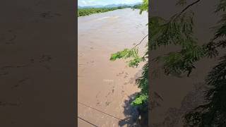 Crecida Del Río Choluteca Puente Carias Choluteca Honduras 29Septiembre24 [upl. by Ahsap784]