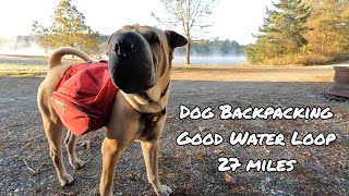 Dog Backpacking on GOOD WATER LOOP TRAIL sharpei hikingwithdogs backpacking hikingdog [upl. by Caresa]