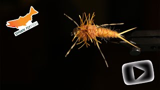 How to Tie a Stonefly in 60 Seconds shorts flytying flytyingturorial [upl. by Col]