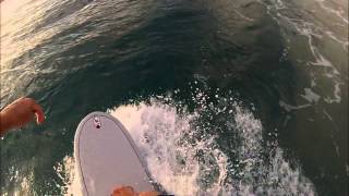 Waikiki Evening Surf Session with Rainbows and a Turtle [upl. by Nagar726]