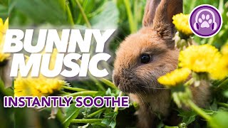 Calming Rabbit Music INSTANT Anxiety Relief for Your Bunny 🐇 [upl. by Aurelius]