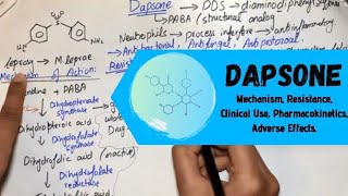 DAPSONE  Mechanism Resistance Clinical Use Pharmacokinetics Adverse EffectsUrduHindi [upl. by Anahcar]