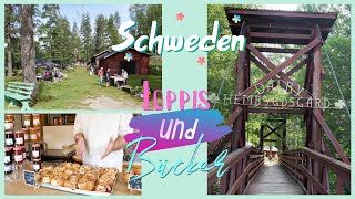 Deutsche Bäckerei in Schweden  Picknick am Klarälven amp Loppis in Dalby  VLOG 5 [upl. by Ixela]