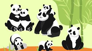 Panda Playtime  Fun Alphabet Song for Kids [upl. by Nauqet]