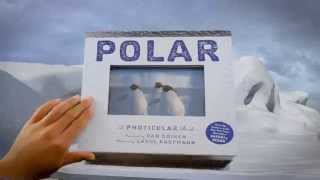 Polar A Photicular Book [upl. by Adnawyek466]