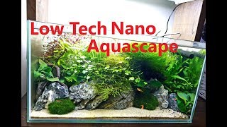 Low Tech Nano Aquascape [upl. by Aikit]