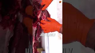 Deer Processing Part 1  Back Legs [upl. by Notak743]