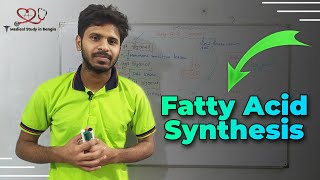 Fatty acid synthesis in bangla [upl. by Reagen171]