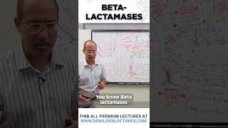 Beta Lactamases drnajeeb drnajeeblectures shortvideostatus [upl. by Ahsekin886]