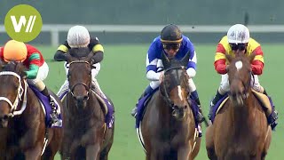 La folie des courses de chevaux au Japon  Christophe Lemaire à la Japan Cup [upl. by Burkhart954]