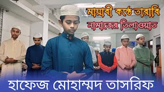 মায়াবী কন্ঠে তারাবি নামাজে তিলাওয়াত  মন চাই বারবার শুনি  হাফেজ তাসরিফ  Tarabi Namaze Tilawat [upl. by Michi]