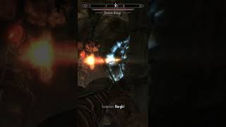 Draugr vs Mage usa gaming skyrim [upl. by Darci383]