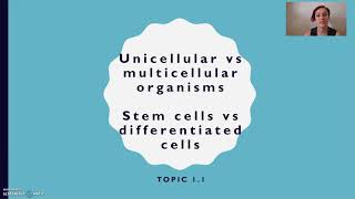 Unicellular vs multicellular differentiated vs stem cells [upl. by Vincent643]