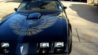 1979 Pontiac Trans Am WS6W72 idle and walkaround [upl. by Adlez]