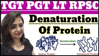 Denaturation of Protein  Types of DerivedProtein  TGT PGT LT RPSC HOME SCIENCE CLASSES BY DIVYA [upl. by Ponton]