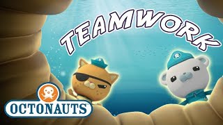 Octonauts  Teamwork  Cartoons for Kids  Underwater Sea Education [upl. by Loredana]