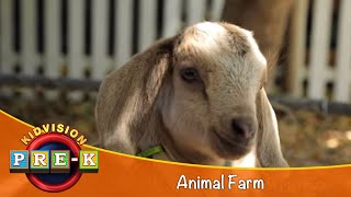 Animal Farm  Virtual Field Trip  KidVision PreK [upl. by Ybok903]