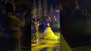 Evaluna y Ricardo Montaner baile boda [upl. by Ativad663]