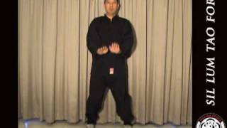 Sifu William Fong Sil Nim Tao Form [upl. by Schwejda]